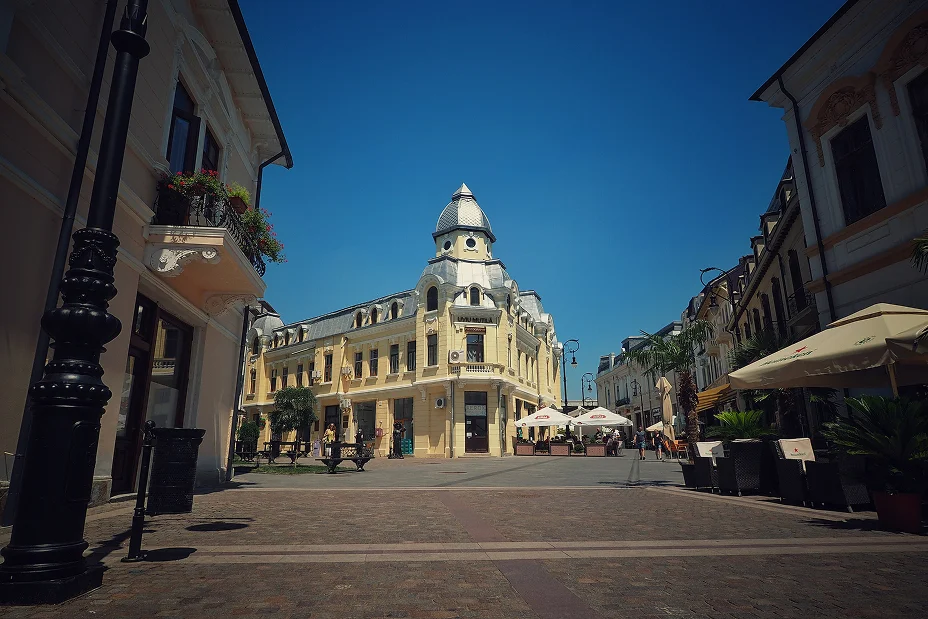 Case în Craiova